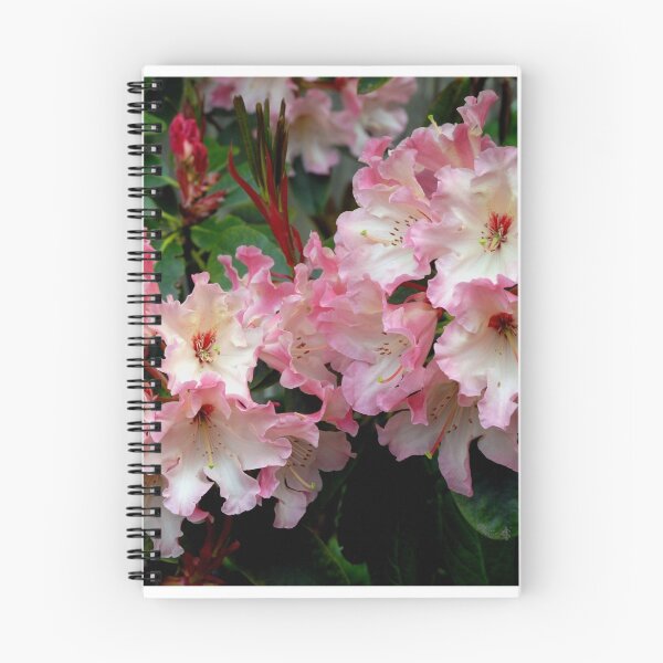 Item preview, A Perfect Spring Rhododendron designed and sold by Marjorie Wallace.