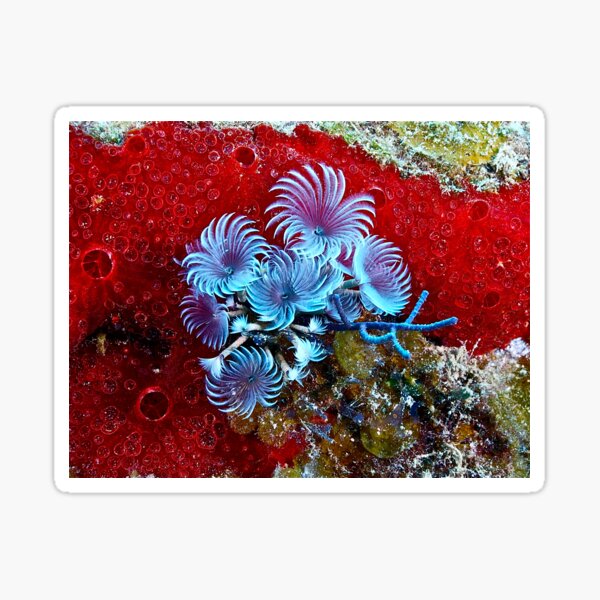 Titilating Tube Worms Sticker