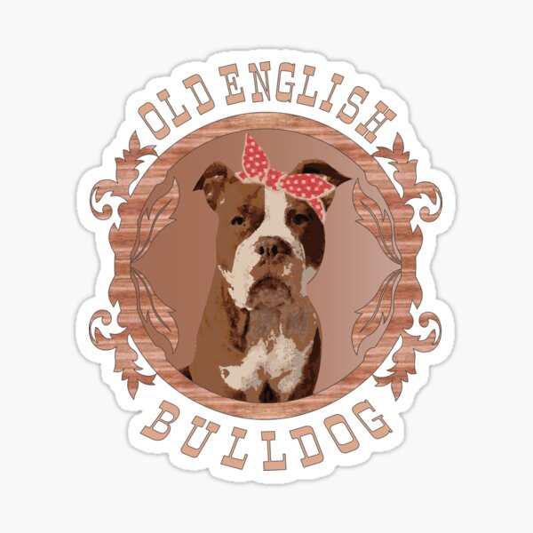 Old English Bulldog Hündin Sticker