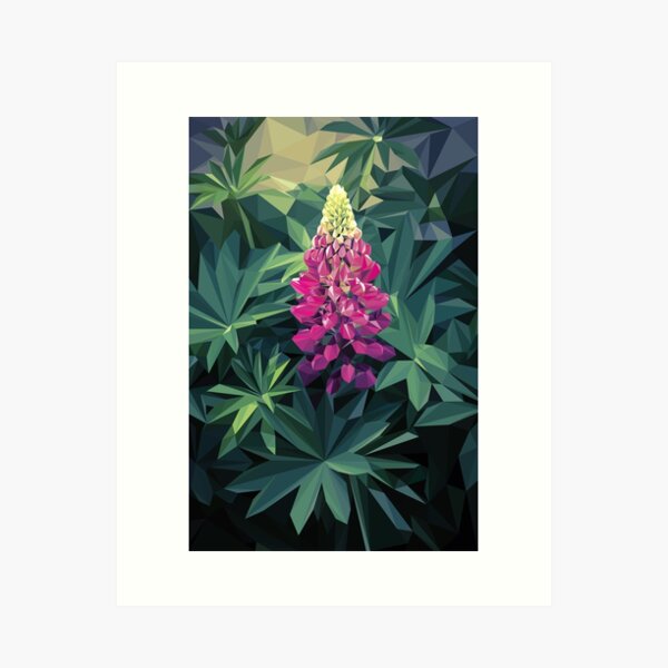 Lupine - Illustration Art Print