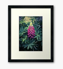 Lupine - Illustration Framed Print