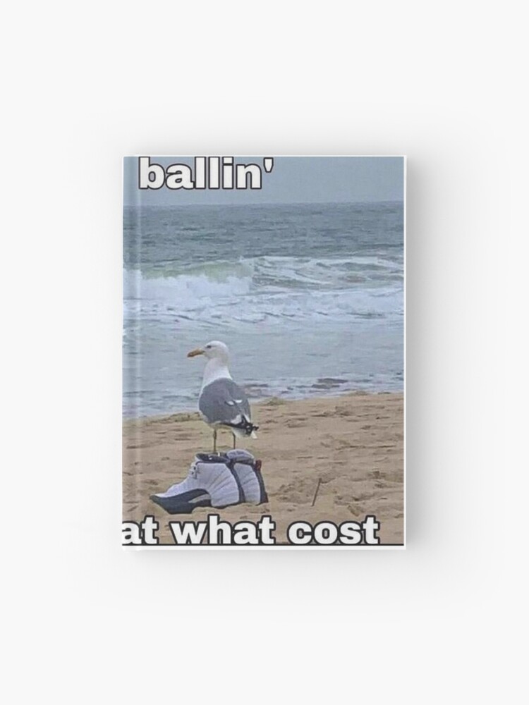 ballin' but at what cost” Journal for Sale by MidnightAir | Redbubble