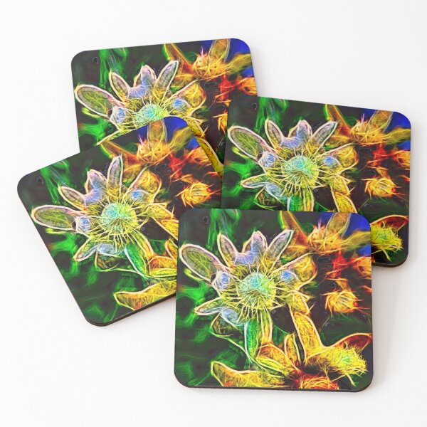 Item preview, alpen-edelweiss – leontopodium nivale ¦  designed and sold by nature. electrified..