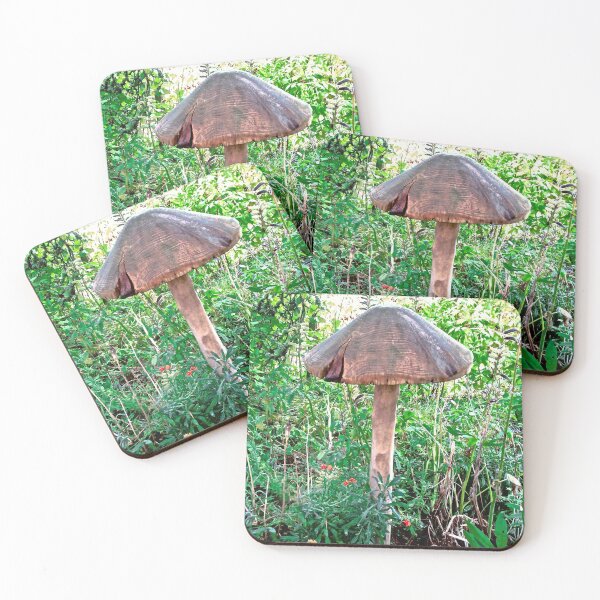 Item preview, Carved wooden Toadstool designed and sold by Shulie1.
