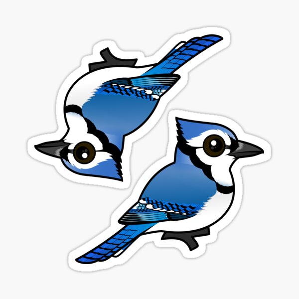Blue Jay Doodle Tiny and Cute Sticker for Sale by bassoongirl123