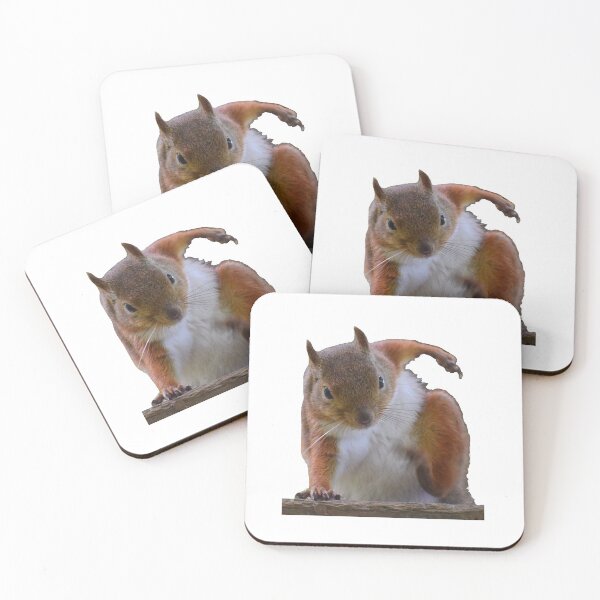 Item preview, Squirrel Hero Landing - Bearskin designed and sold by metin1331.