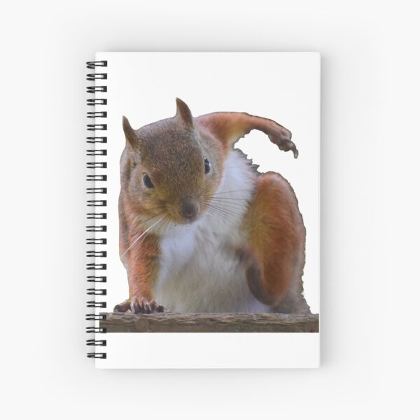 Item preview, Squirrel Hero Landing - Bearskin designed and sold by metin1331.