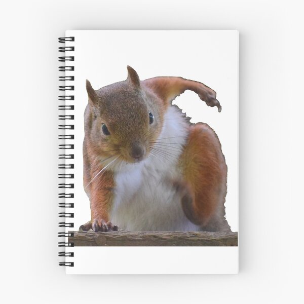 Item preview, Squirrel Hero Landing - Bearskin designed and sold by metin1331.