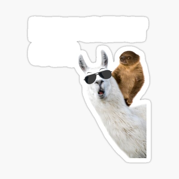 Not your ernst Alapaka mit Faultier Sticker