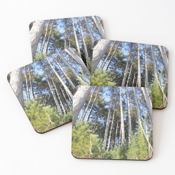 Item preview, Up in the Treetops designed and sold by sharmander12.