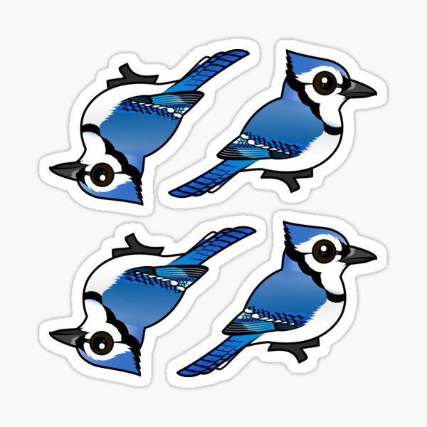 Cute Cartoon Blue Jay T-Shirts & Gifts < Birdorable