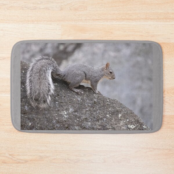 Item preview, Squirrel on rock designed and sold by Anthony Brewer.