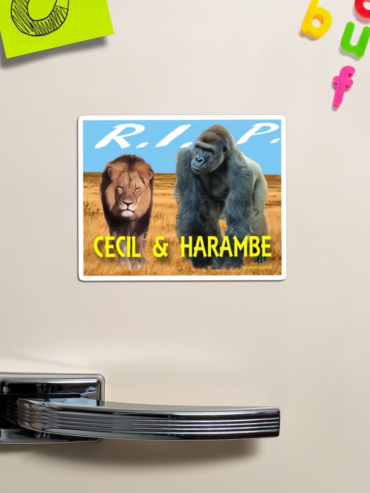 Cincinnati Bengals Harambe Win For Him - Harambe - Magnet