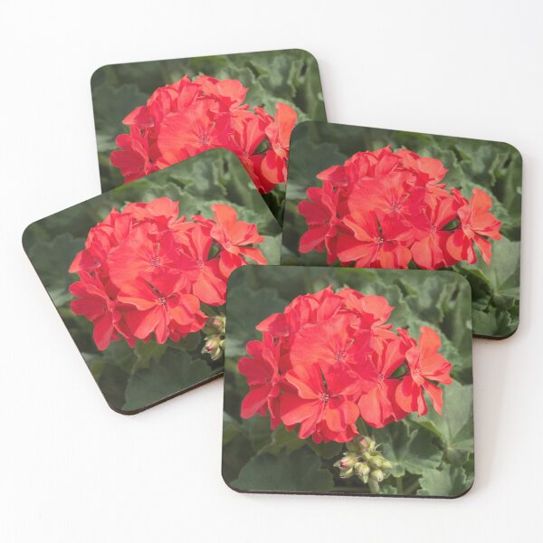 Item preview, Rocky Mountain Orange Pelargonium geraniums designed and sold by Zina Stromberg.
