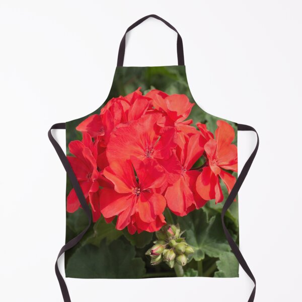 Item preview, Rocky Mountain Orange Pelargonium geraniums designed and sold by Zina Stromberg.