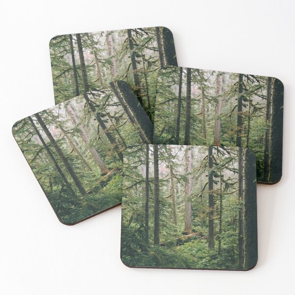 Item preview, Into the Lush Forest of the Pacific Northwest designed and sold by mattgeophoto.