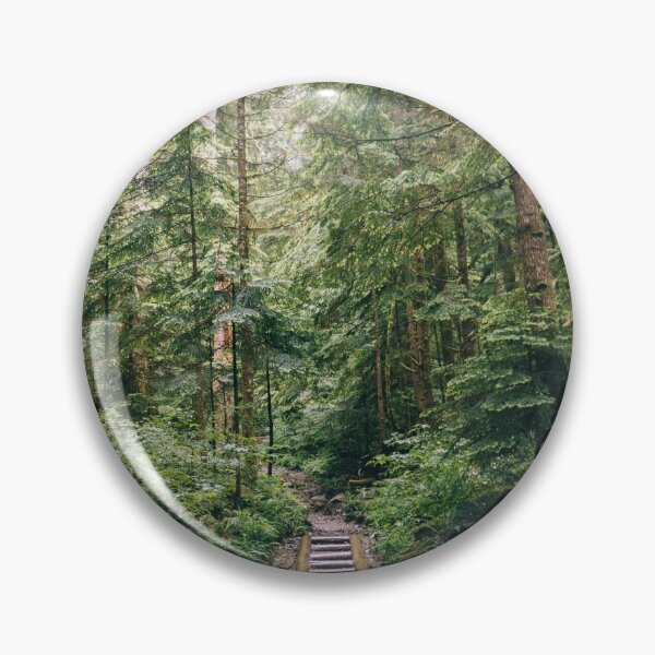 Item preview, Stairway to the Pacific Northwest Forest in Washington State designed and sold by mattgeophoto.