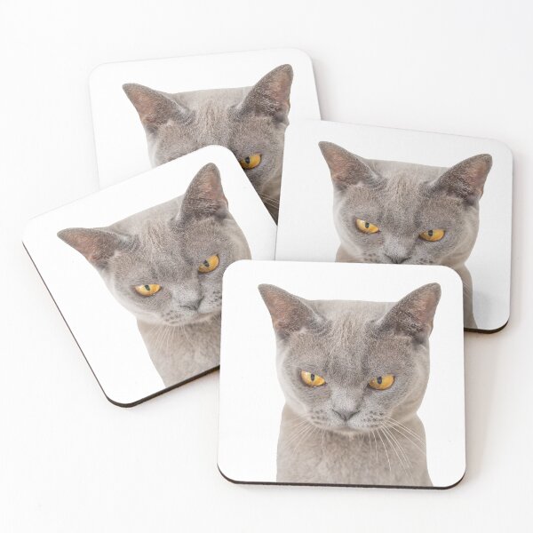 Item preview, Cute Mad Cat designed and sold by FilipeFerreira.