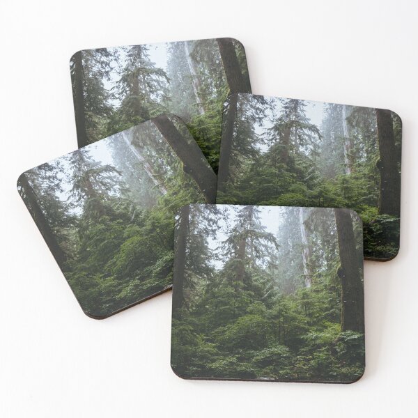 Item preview, A Mysterious Forest in the Pacific Northwest designed and sold by mattgeophoto.
