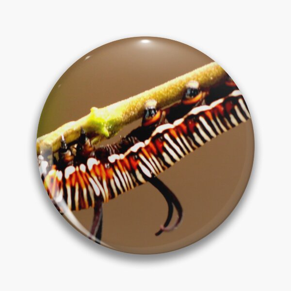 Item preview, Stripy Caterpillar designed and sold by Geoff Treagus.