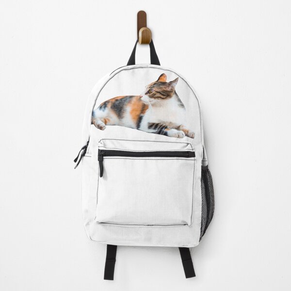 Item preview, Cute Cat Chilling designed and sold by FilipeFerreira.