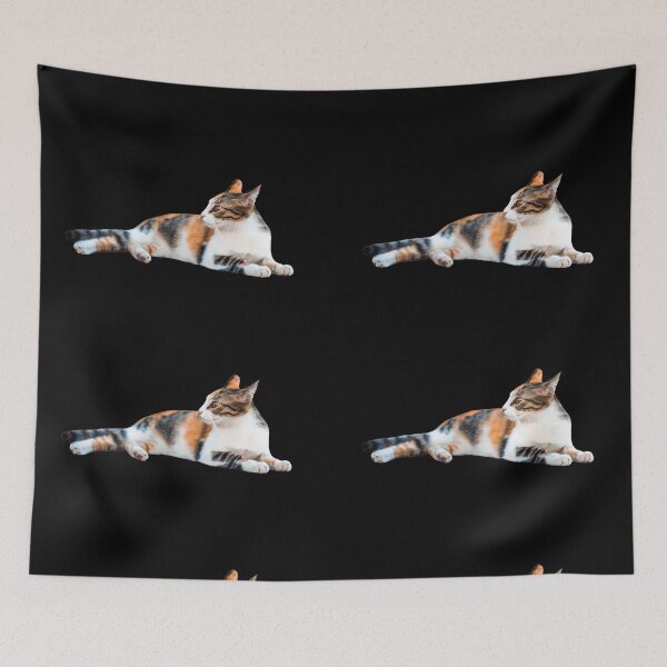 Item preview, Cute Cat Chilling (Black BG) designed and sold by FilipeFerreira.