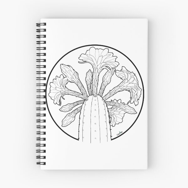 Item preview, Trichocereus Flowering Spiral designed and sold by Cactee.
