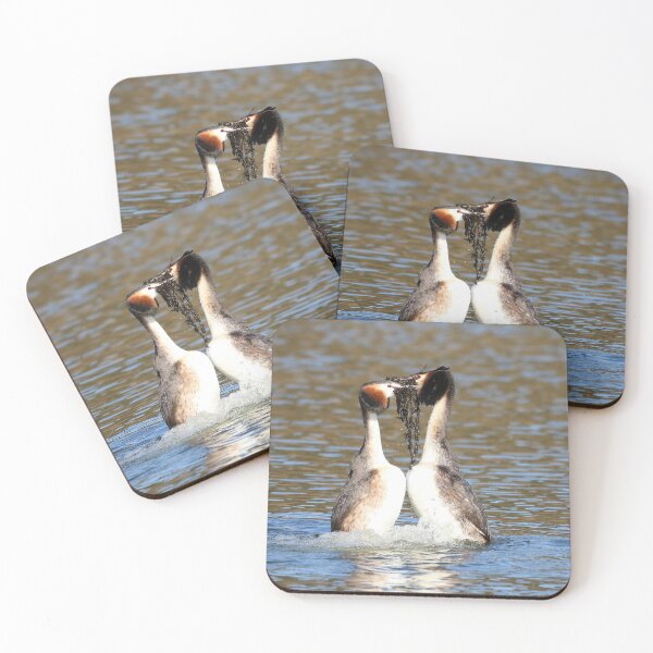 Item preview, Great crested Grebe weed Passing  designed and sold by Dorothy Thomson.
