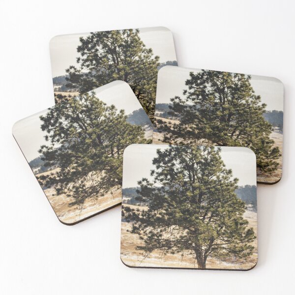 Item preview, Lone Tree in the Black Hills designed and sold by mattgeophoto.