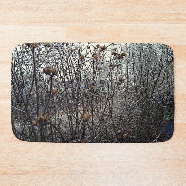 Item preview, Iced Over Foliage On an Overcast March Afternoon designed and sold by Mothe3rd.