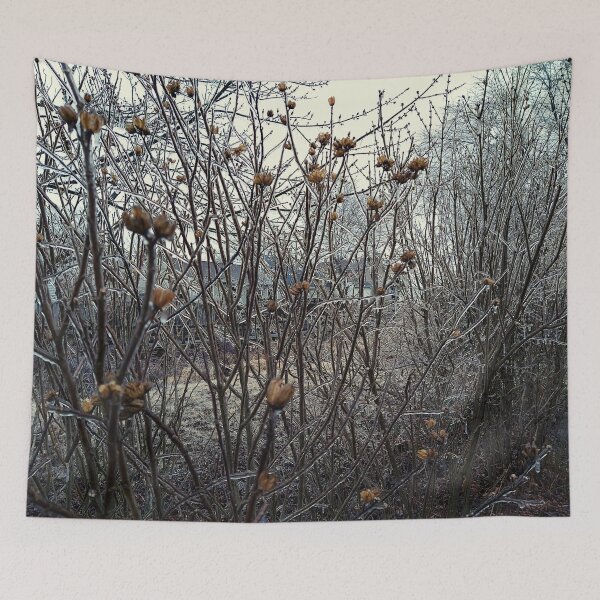 Item preview, Iced Over Foliage On an Overcast March Afternoon designed and sold by Mothe3rd.