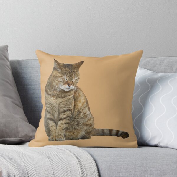 Item preview, Cute Sleepy Cat (Light Orange/Beige BG) designed and sold by FilipeFerreira.