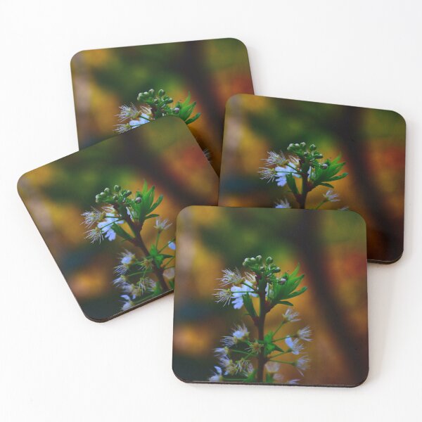 Item preview, Bright natural Plum plants designed and sold by Feline Rockstars.