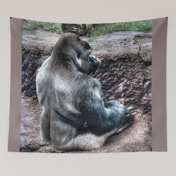 Item preview, Lobo plateado sentado designed and sold by Blackadder Photography.