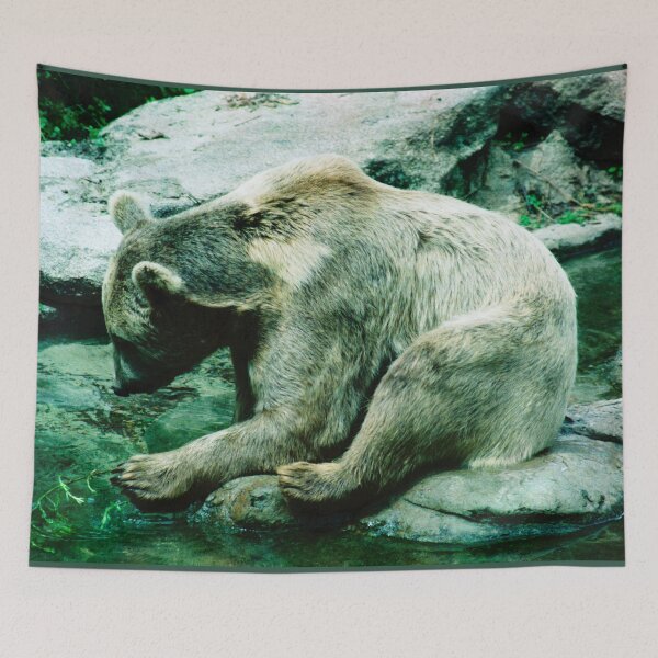 Item preview, Brown Bear by the water designed and sold by Blackadder Photography.