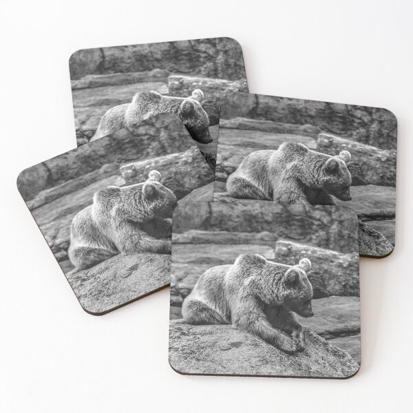 Item preview, Brown Bear waiting and watching designed and sold by Blackadder Photography.