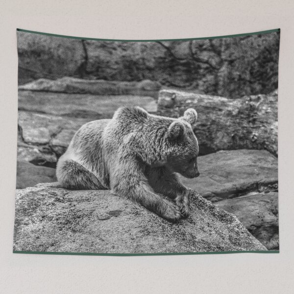 Item preview, Brown Bear waiting and watching designed and sold by Blackadder Photography.