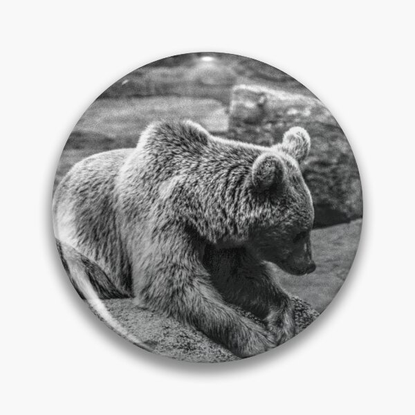 Item preview, Brown Bear waiting and watching designed and sold by Blackadder Photography.