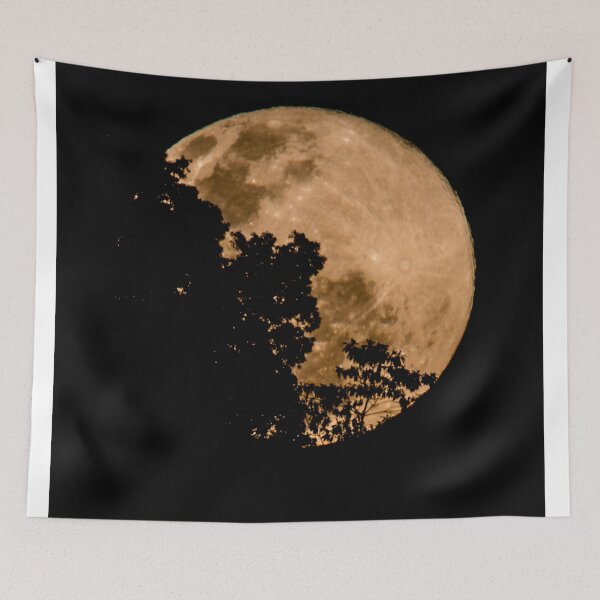 Item preview, Snow moon rising designed and sold by David ST Loh Images.