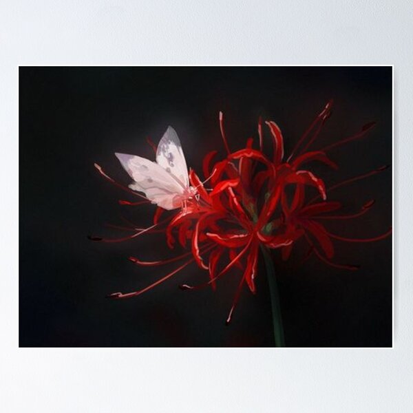 Red Lily Wall Art for Sale