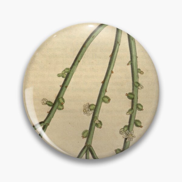 Item preview, Curtis's botanical magazine (Plate 3080) (8411493896) designed and sold by EsotericBotanic.