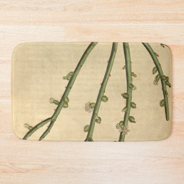 Item preview, Curtis's botanical magazine (Plate 3080) (8411493896) designed and sold by EsotericBotanic.