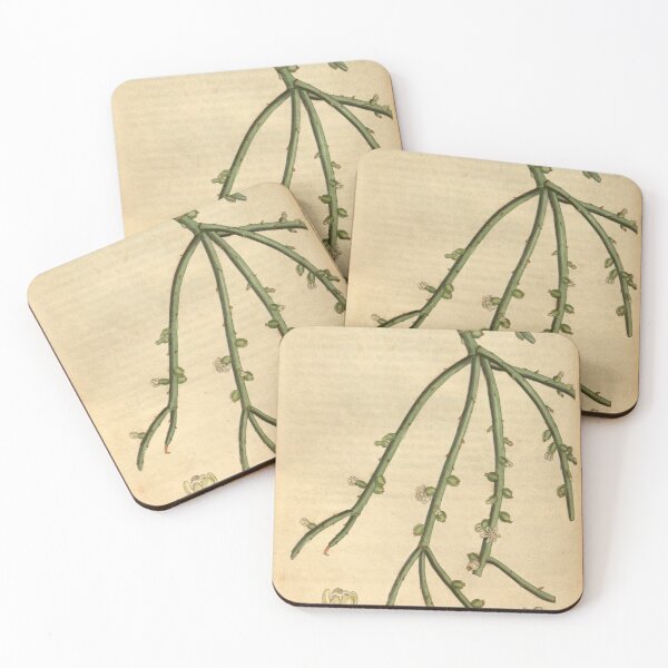 Item preview, Curtis's botanical magazine (Plate 3080) (8411493896) designed and sold by EsotericBotanic.
