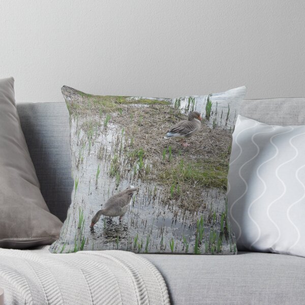 Item preview, Gansos de Greylag designed and sold by CreativeEm.