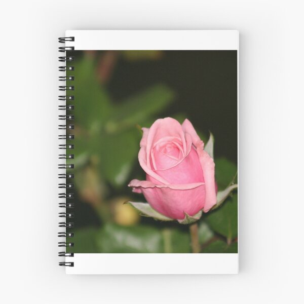Artikelvorschau, Nach jedem anderen Namen entworfen und verkauft von FloraBelle.