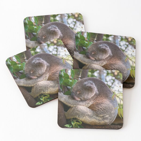 Item preview, Koala Sleeping Beauty designed and sold by Catherine Reading.