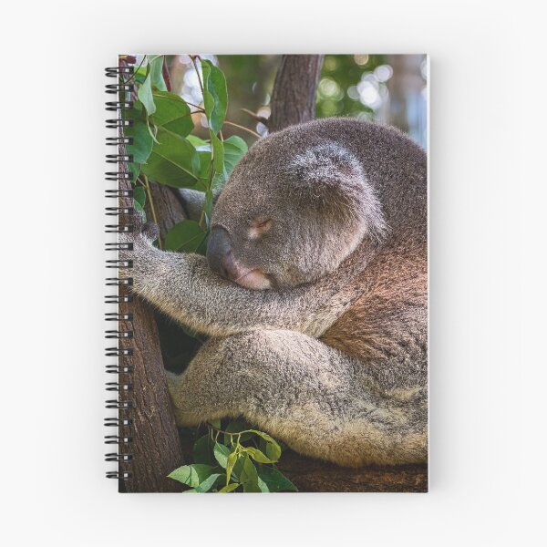 Item preview, Koala Sleeping Beauty designed and sold by Catherine Reading.