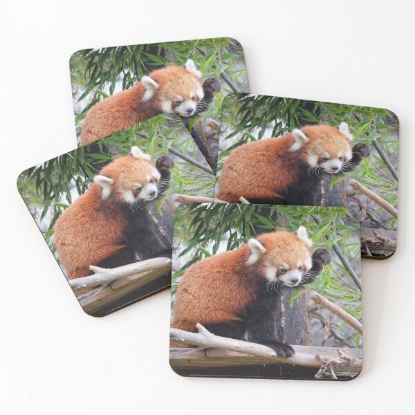 Item preview, Red Panda designed and sold by Catherine Reading.