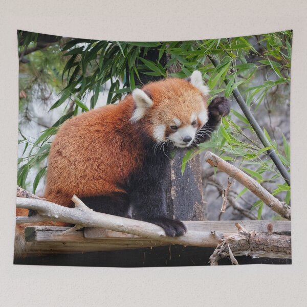 Item preview, Red Panda designed and sold by Catherine Reading.
