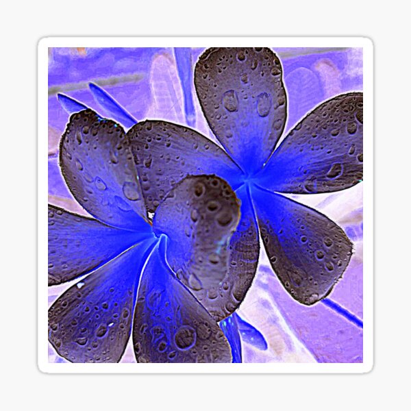 Item preview, FRANGIPANI DREAMS IN PURPLE MAUVE AND COBALT BLUE   designed and sold by Opalbluerose.